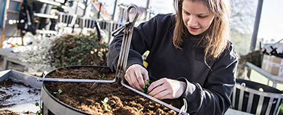 Værkstedstræning i Blomster og Dekoration på Liv&Job i Stubbekøbing