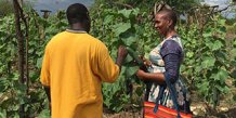 Nyopdyrket agurkeplantage 75 kilometer uden for Dar es Salaam. Tearfund/DMRU-projekt 2020